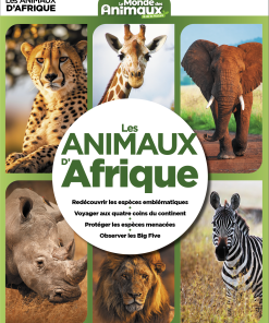 Animaux d&rsquo;Afrique